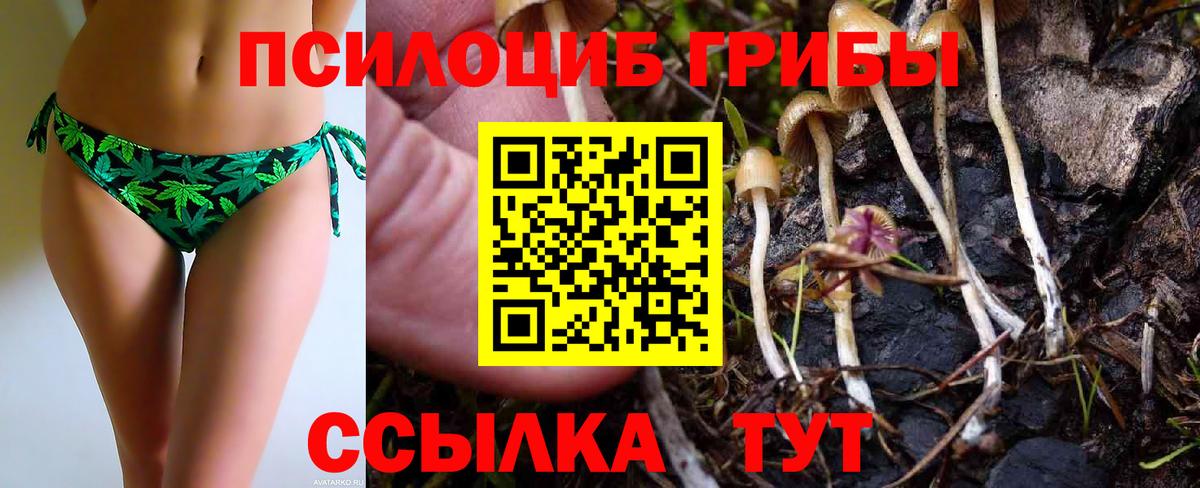 Псилоцибиновые грибы ЛСД Кандалакша